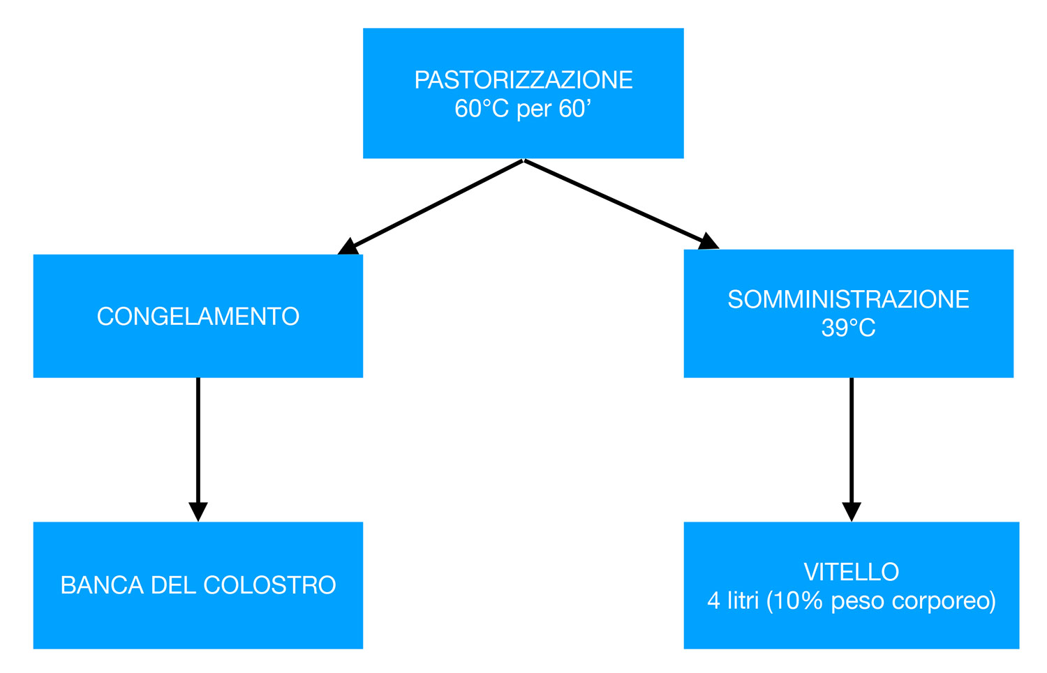 Diagramma Colostatura