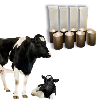 Saluxplus Cow mangime complementare per bovine da latte