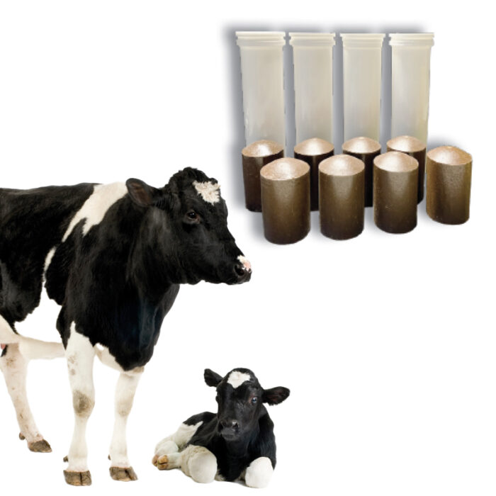 Saluxplus Cow mangime complementare per bovine da latte